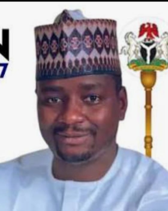 Tinubu, Yusuf, others in 2027: APC chieftain in Kano urges for their re-election