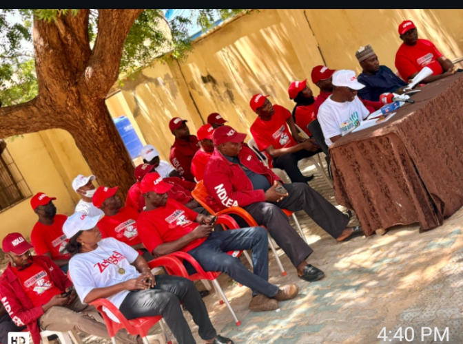 Yobe NDLEA secures 27 convictions, seizes 328.4kg of drugs in 12 months